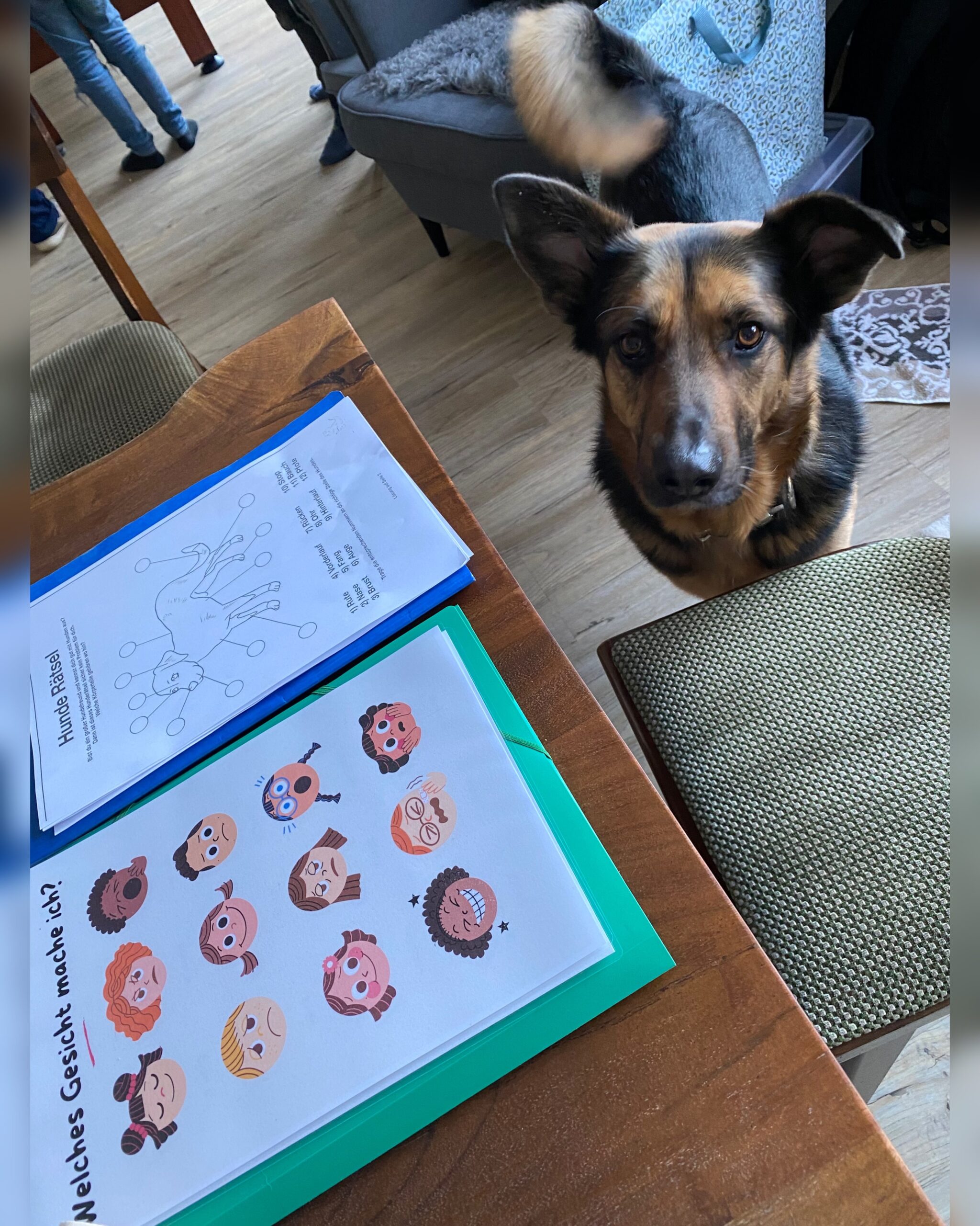 Einsatzhund Rex setzt sich voll und ganz für das Projekt der Kinder der Diakonie ein