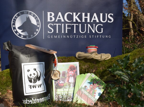 Backhaus Stiftung und WWF Deutschland – Gemeinsame Aktion „Baumentdecker“