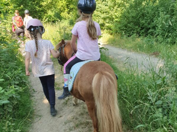 Unterstützung für monatliche Reitassistenz durch Backhaus Stiftung