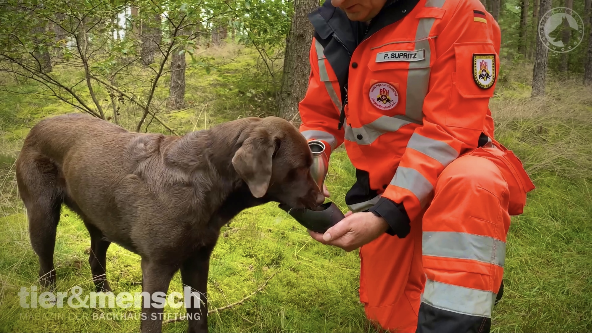Reportage der Backhaus Stiftung über Rettungshunde