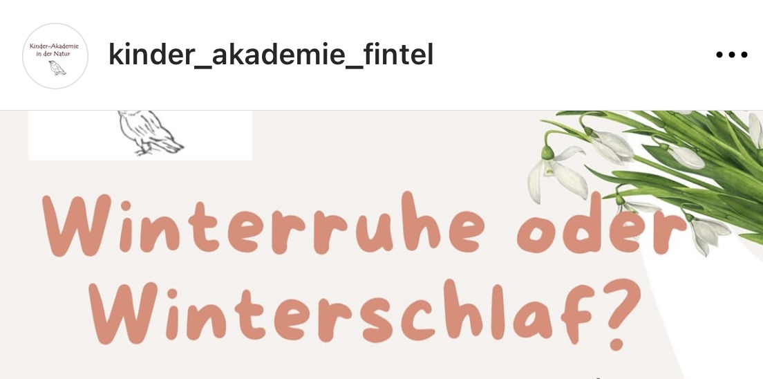 Die Kinder-Akademie Fintel hat neue Kinderaktionen ab Februar 2025