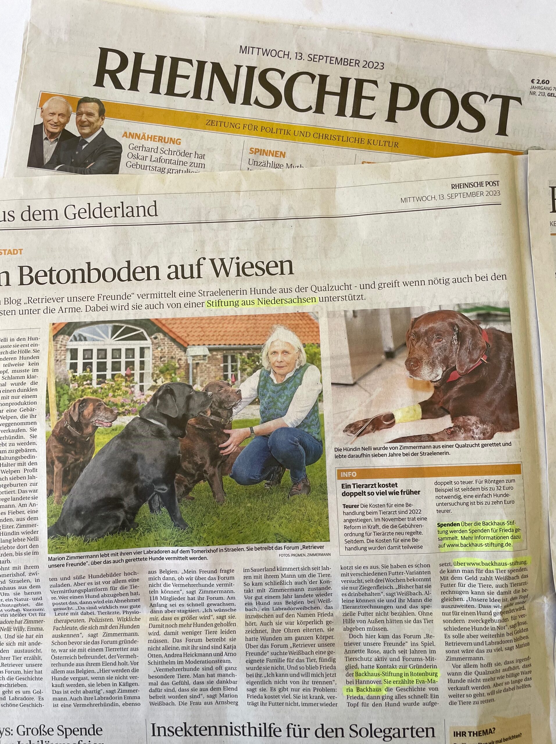 Kurze News: Berichterstattung in der Rheinische Post