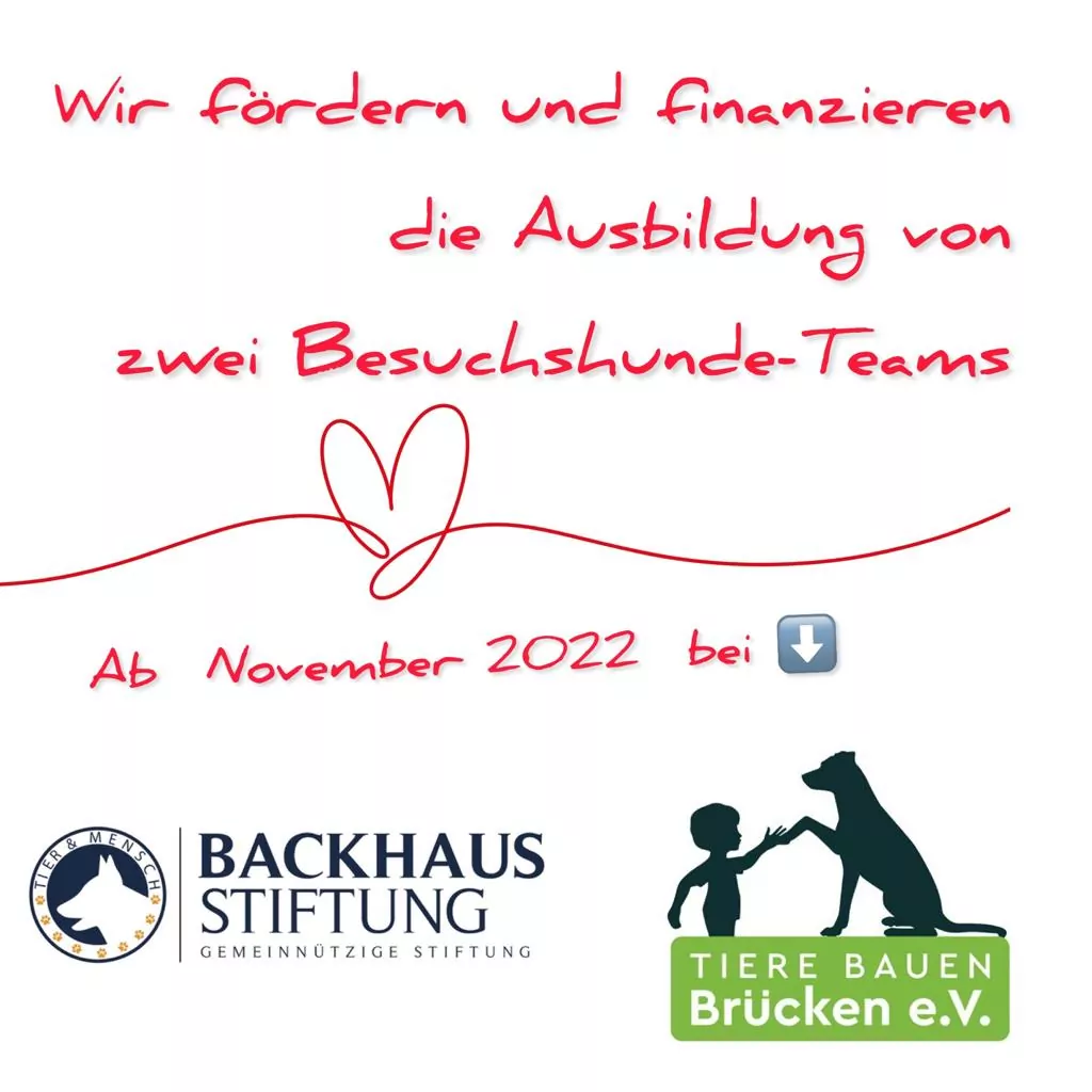 Backhaus Stiftung fördert und finanziert die Ausbildung für Besuchshunde