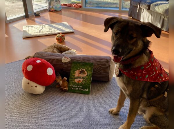Azubihund Samy ♥️🐾 war am bundesweiten Vorlesetag (21.11) 📚 mit viel Begeisterung und Freude dabei!