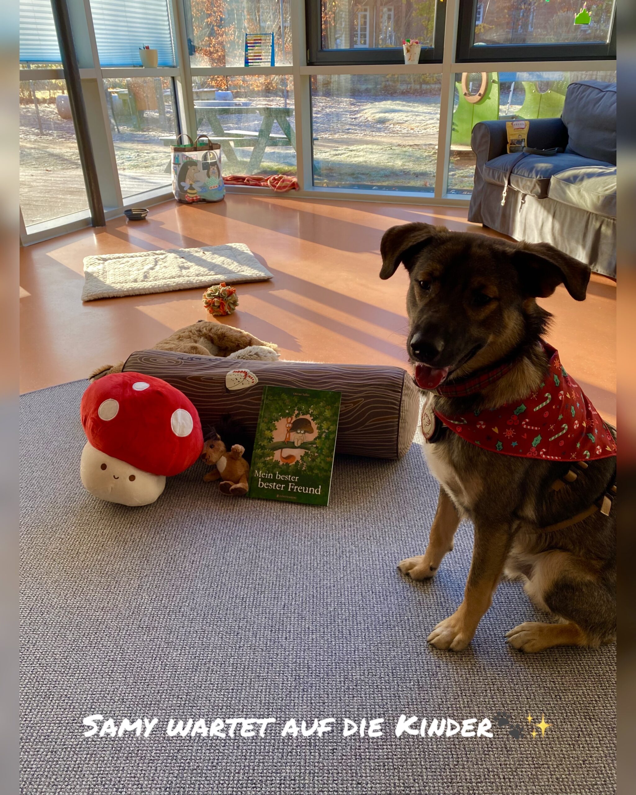 Azubihund Samy ♥️🐾 war am bundesweiten Vorlesetag (21.11) 📚 mit viel Begeisterung und Freude dabei!
