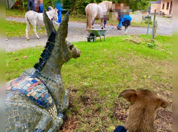 Abschluss-Event der Klasse der Jean-Paul-Schule Kassel mit Azubi Hund Samy