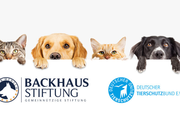 Backhaus Stiftung fördert Deutschen Tierschutzbund