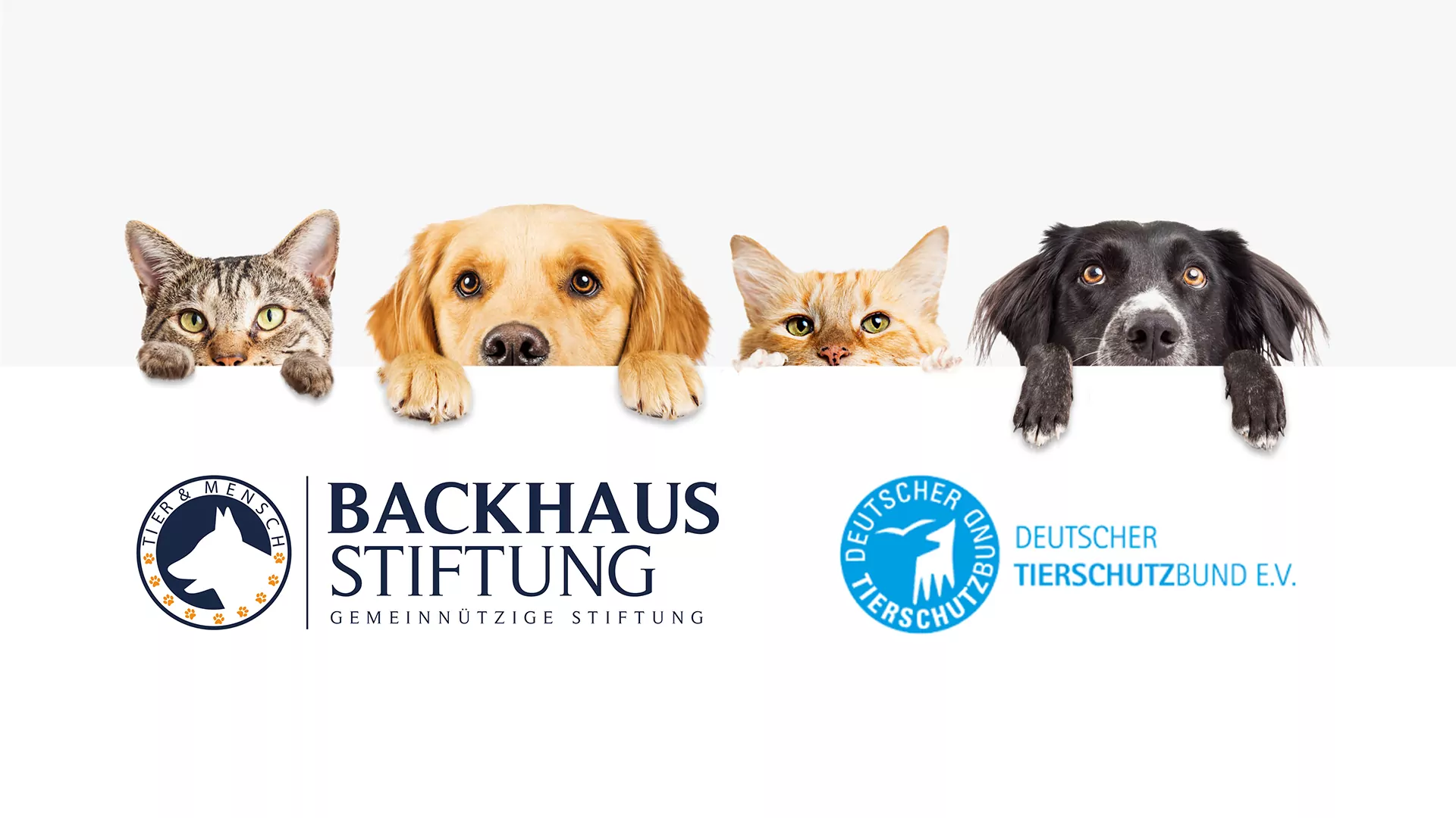 Backhaus Stiftung fördert Deutschen Tierschutzbund