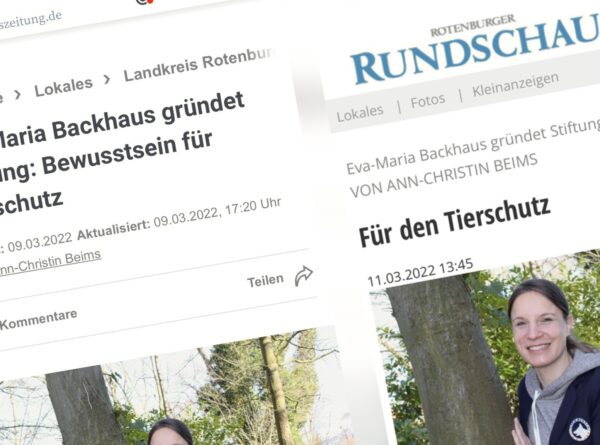 Zwei Zeitungen berichten über die Backhaus Stiftung