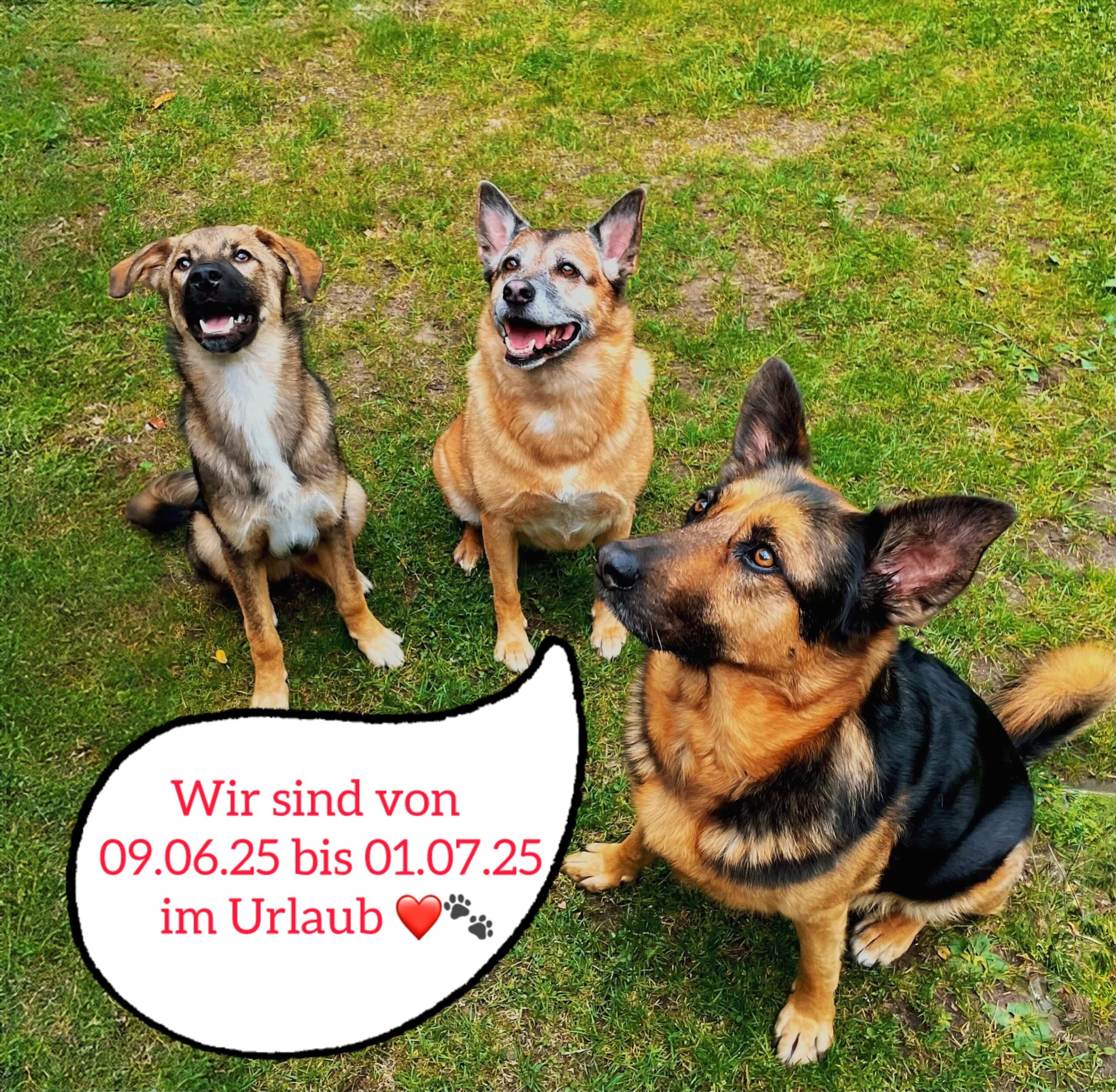 Wir machen Urlaub❤️🐾
