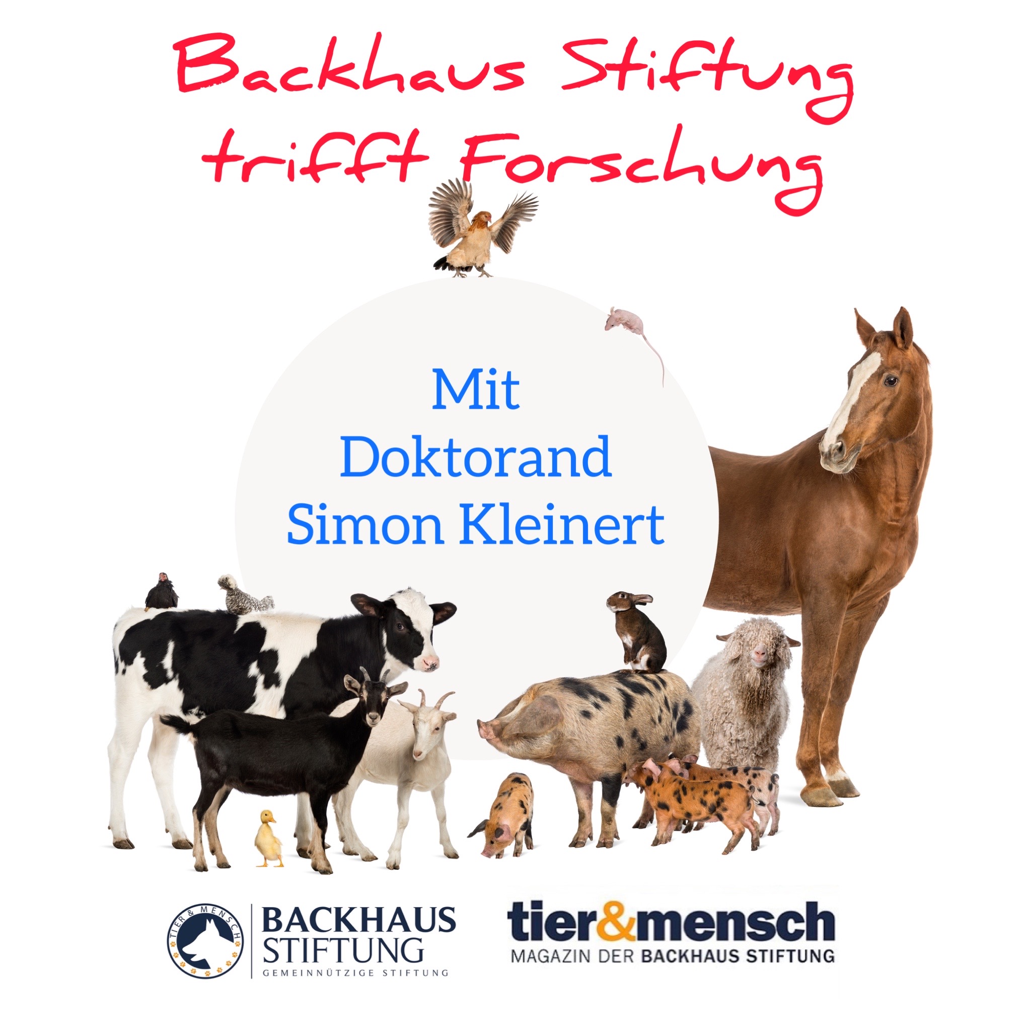 Neues Digitalformat „Backhaus Stiftung trifft Forschung“